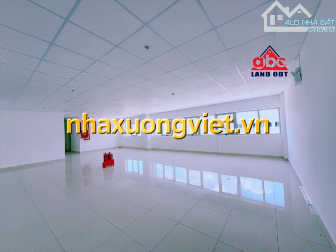 XT467 Cho thuê xưởng hơn 2Ha xây dựng mới 100% KCN Nhơn Trạch - ĐN