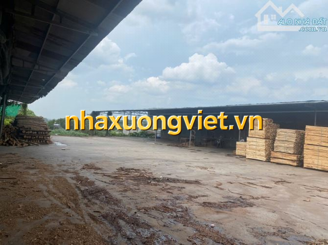 XT452 Cho thuê mặt bằng kinh doanh 2700m2 mặt tiền đường Lê Ngô Cát Tân Hoà.  Giá chỉ 40tr
