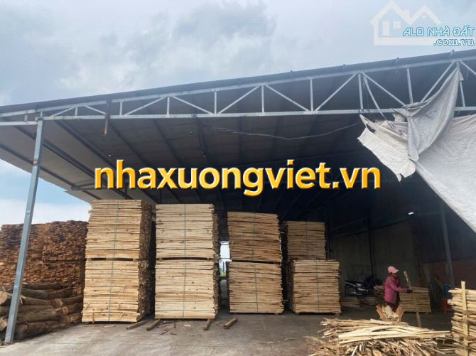 XT452 Cho thuê mặt bằng kinh doanh 2700m2 mặt tiền đường Lê Ngô Cát Tân Hoà.  Giá chỉ 40tr