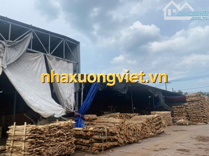 XT452 Cho thuê mặt bằng kinh doanh 2700m2 mặt tiền đường Lê Ngô Cát Tân Hoà.  Giá chỉ 40tr