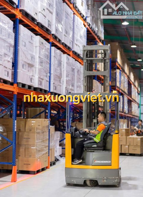 XT462 Cho thuê kho vân hành Logistic và Kho Ngoại Quan tổng diện tích gần 2Ha - KCN Long T