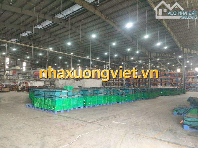 XT463 Cho thuê kho Ngoại Quan Gần 1Ha KCN Long Thành – ĐỒNG NAI