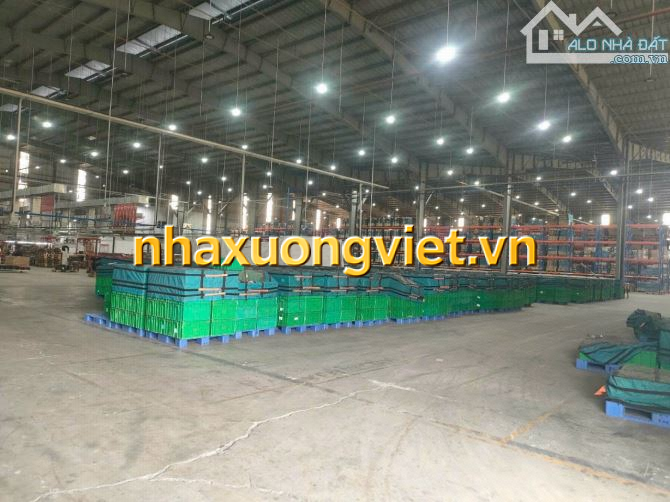 XT463 Cho thuê kho Ngoại Quan Gần 1Ha KCN Long Thành – ĐỒNG NAI