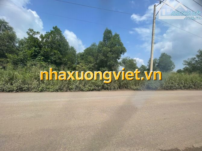 ♦️CẦN B.ÁN GẤP 9900m2 ĐẤT QUY HOẠCH SKC , CỤM CN VĨNH TÂN ,VĨNH CỬU ,ĐỒNG NAI ▪️DT : 9900m