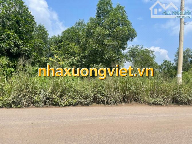 ♦️CẦN B.ÁN GẤP 9900m2 ĐẤT QUY HOẠCH SKC , CỤM CN VĨNH TÂN ,VĨNH CỬU ,ĐỒNG NAI ▪️DT : 9900m