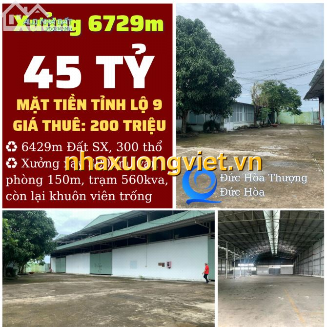 Xưởng mặt tiền Tỉnh Lộ 9, 6729m giá 45 tỷ. Đức Hòa Thượng.
