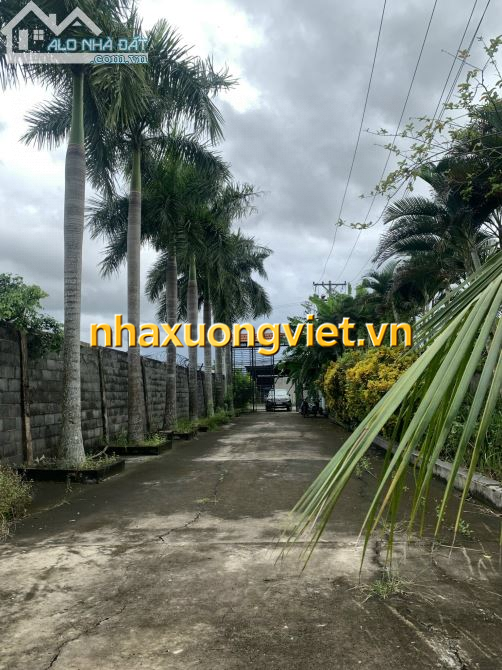 Xưởng mặt tiền Tỉnh Lộ 9, 6729m giá 45 tỷ. Đức Hòa Thượng.