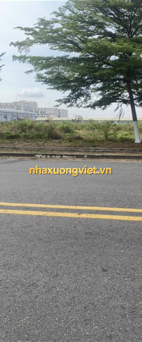 BÁN ĐẤT CÔNG NGHIỆP TẠI KHU CÔNG NGHIỆP HÒA BÌNH, THỦ THỪA, LONG AN