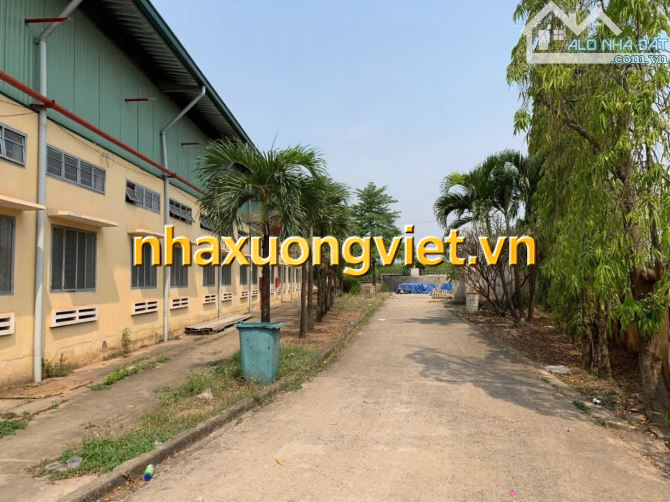 Xưởng Cụm CN Tân An 37.000m2 FUll SKC Đóng Thuế 1Lần Sổ Hoàn Công Góc 2 Mặt Tiền