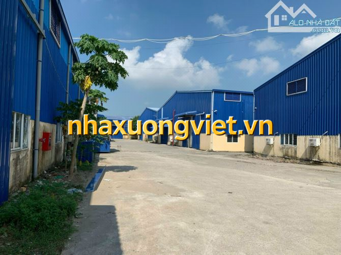 Bán xưởng An Thái, An Lão, Hải Phòng,  11000m2, 48,9 tỷ