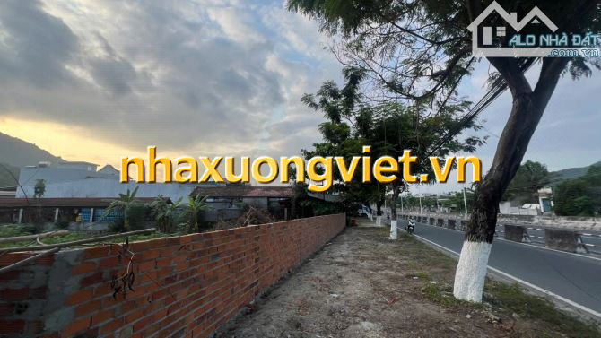 LÔ ĐẤT MẶT TIỀN ĐẠI LỘ NGUYỄN TẤT THÀNH, NHA TRANG. DT: 1533m2 ngang 25m (có 300 thổ cư)