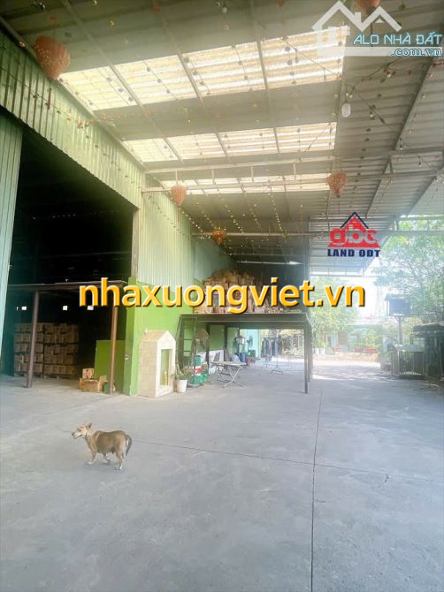 X064 🔥 BÁN NHÀ XƯỞNG GIÁ TỐT – VỊ TRÍ ĐẸP TẠI XÃ BÌNH MINH 🔥  🏭 Diện tích: 1.550m² (300