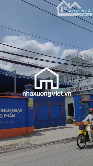 BÁN VÀI XƯỞNG MAY 2615m2 66 tỷ, 3620  130 tỷ