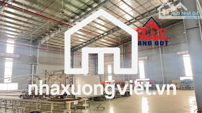 XT498 nhà xưởng sản xuất cho thuê ổn định lâu dài