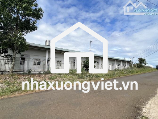 🔥Bán nhà xưởng đường Lý Thái Tổ, Dambri, phường 2 Bảo Lộc. ĐIỆN 3 PHA ĐƯỜNG LỚN