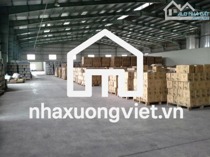 Cho thuê kho SIÊU VIP gần 300m², có Văn Phòng đường Nguyễn Cửu Đàm, P. TSN, Q. Tân Phú.