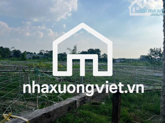 Bán xưởng ngay quốc lộ 51, hơn 3 hecta, giá chỉ 4 triệu/m2(XB054)