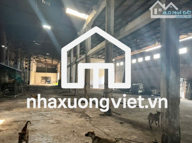 Bán xưởng ngay quốc lộ 51, hơn 3 hecta, giá chỉ 4 triệu/m2(XB054)