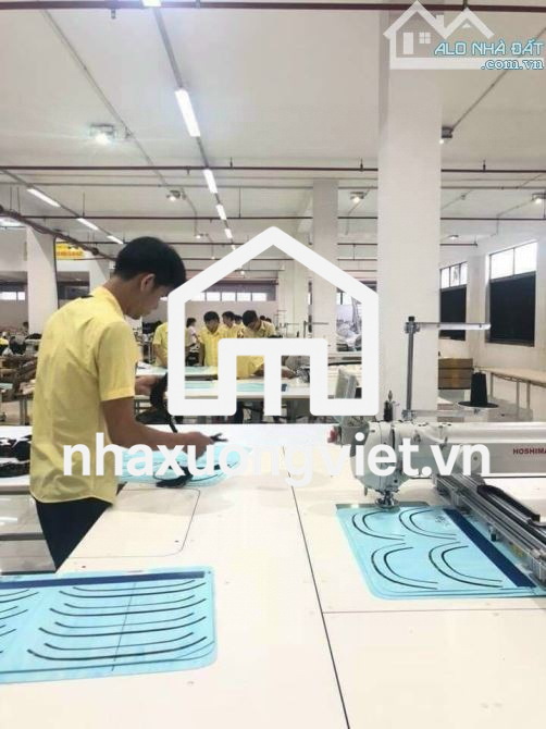 Xưởng Mặt Tiền Tân Thới Nhất 8 Q12 3620m2 Dòng Tiền 200tr/th Chỉ 130 Tỷ