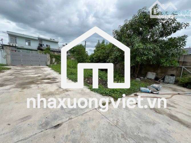 🏡🏡300m2 ONT/ 1000 m2 Quách Điêu, Bình Chánh, 16.5 tỷ TL.