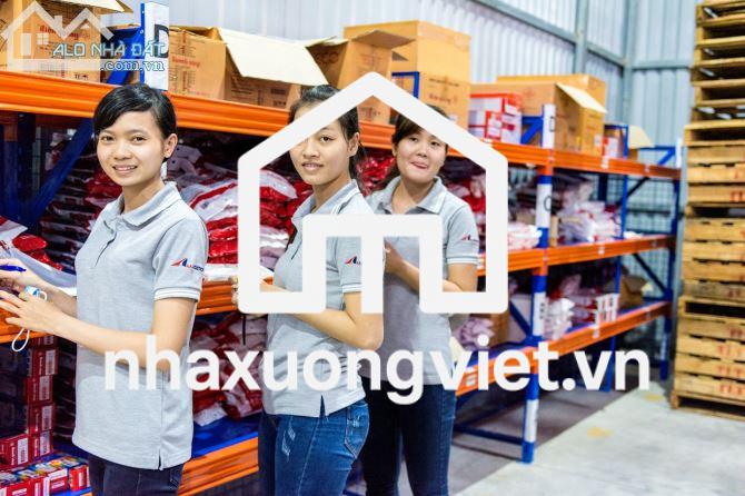 KHO Cho Thuê Chứa HÀNG SỈ LẺ Tổng Hợp TMĐT Mỹ Phẩm Có Diện Tích LỚN NHỎ Gần Trung Tâm HCM