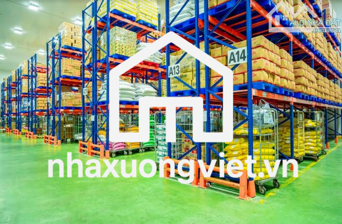 ✅ We need flexible area for lease from 2000m2 to 50,000m2 in Da Nang