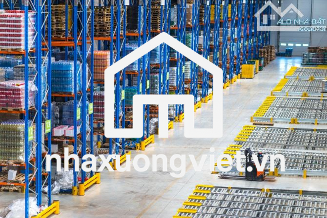 ✅ We need flexible area for lease from 2000m2 to 50,000m2 in Da Nang