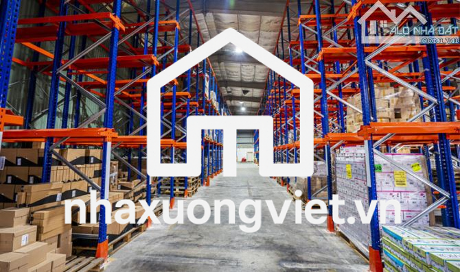 ✅ We need flexible area for lease from 2000m2 to 50,000m2 in Da Nang