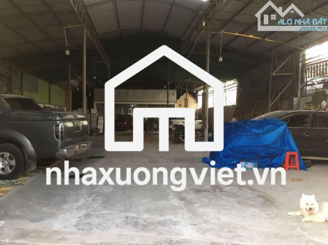 Bán xưởng 1000m full thổ cư mt Thanh Niên, Hóc Môn, 17,5 tỷ