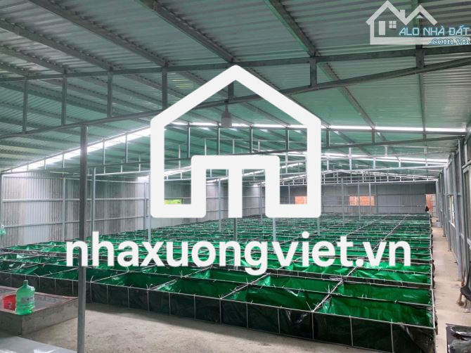 🆘🆘 Giảm Sốc còn 2ty190 - 700m2 Đất xây Nhà vườn.