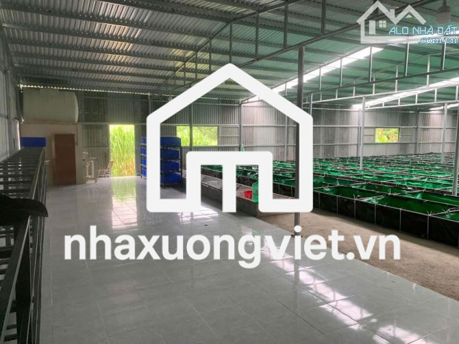 🆘🆘 Giảm Sốc còn 2ty190 - 700m2 Đất xây Nhà vườn.