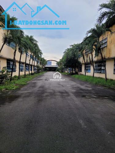 Cho thuê kho 368 triệu,46x 100m mặt tiền nhánh Trần Đại Nghĩa, Tân Kiên,Bình Chánh