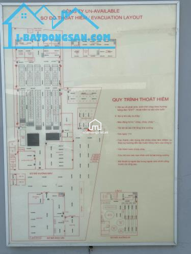 Cho thuê nhà xưởng gần 10.000m2 Tân Thới Nhất 17, Quận 12, liền kề Trường Chinh, giá rẻ